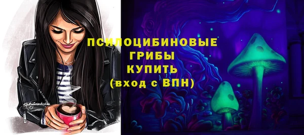 прущий лед Пестово