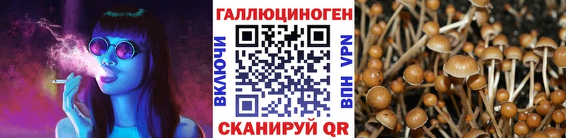 купить  цена  Зеленогорск  Псилоцибиновые грибы GOLDEN TEACHER 